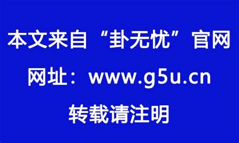 82年生肖|1982年属什么生肖的命 1982年属狗是什么命